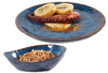 Vajilla Melamina Water