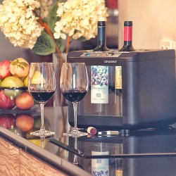 0w002enfriador2botellas